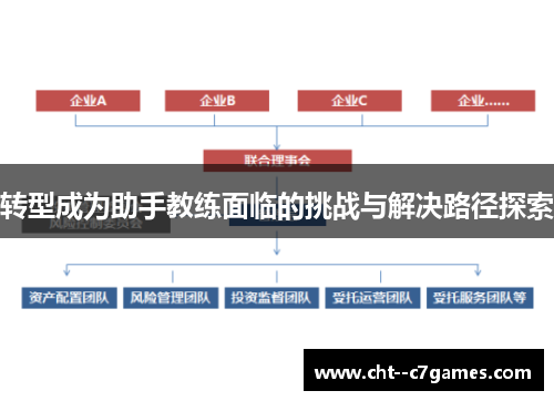 转型成为助手教练面临的挑战与解决路径探索 转型成为助手教练面临的挑战与解决路径探索