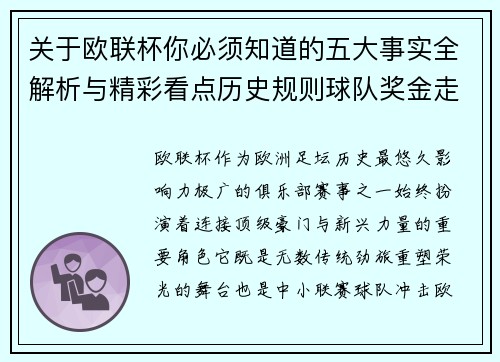 关于欧联杯你必须知道的五大事实全解析与精彩看点历史规则球队奖金走势